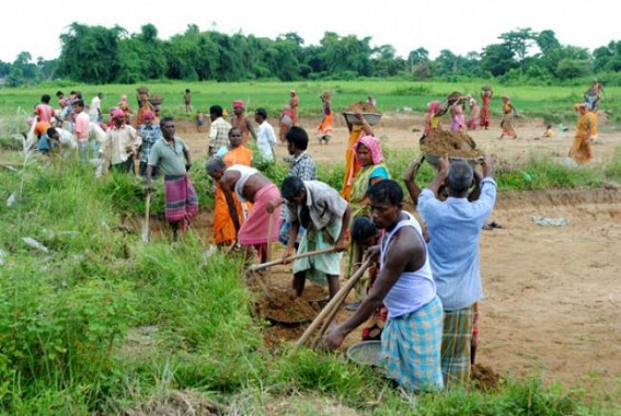 MGNREGA Scam over  Rs 17 crore : BDO lodged FIR against former BDO Bimal Chakraborty